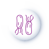 XIII. Helicobacter Pylori